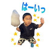 810766905