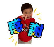 810766911
