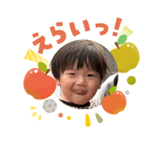 810772555