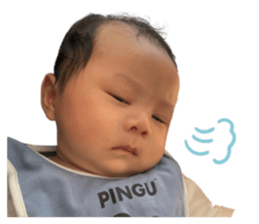 810774005