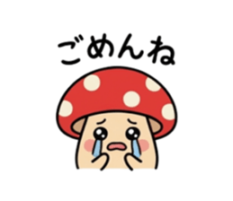 810775764