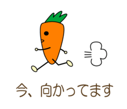 8107902