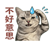 810804989