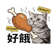 810805008
