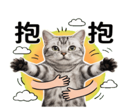 810805009