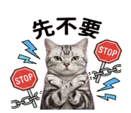 810805010