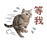 810805013