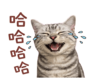 810805015