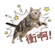 810805016
