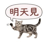 810805018