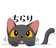 810805107