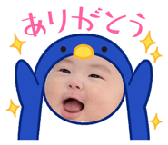 810818601