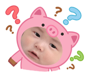 810818616