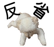 810819610