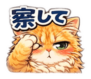 810831420