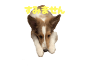 810842302