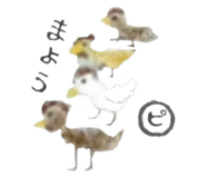 810846634
