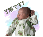 810883488