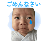 810883495