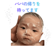 810883511