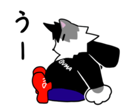 810883978