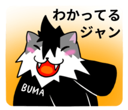 810883981