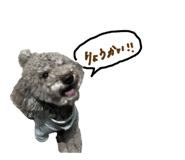 810888281