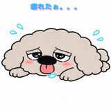 810897991