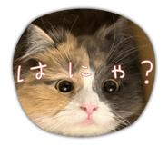 810921319