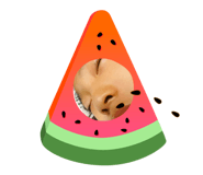 810927862