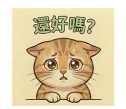 810945559