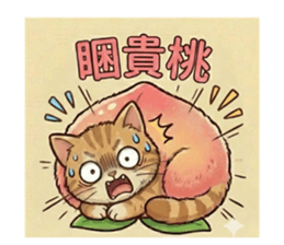 810945790