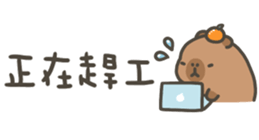 810946246