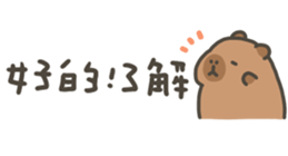 810946247