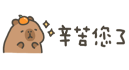810946250