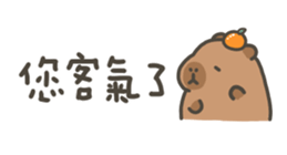 810946251