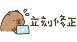 810946258