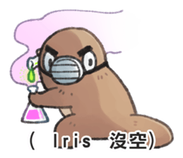 81095465