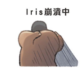 81095471