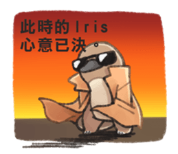 81095477