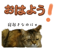 810970170