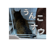 810970208