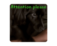 810982465