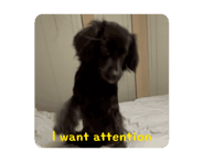 810982470