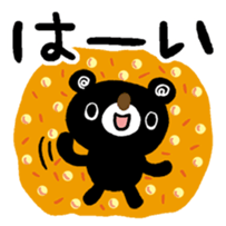 81101505