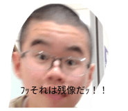 811016446