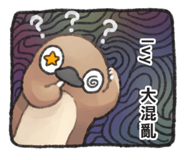 81101805
