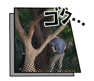 811058464