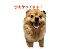 811073395