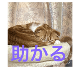 811074416